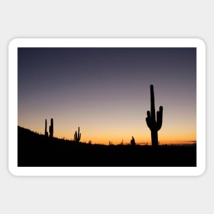 Sonoran Sunset Sticker